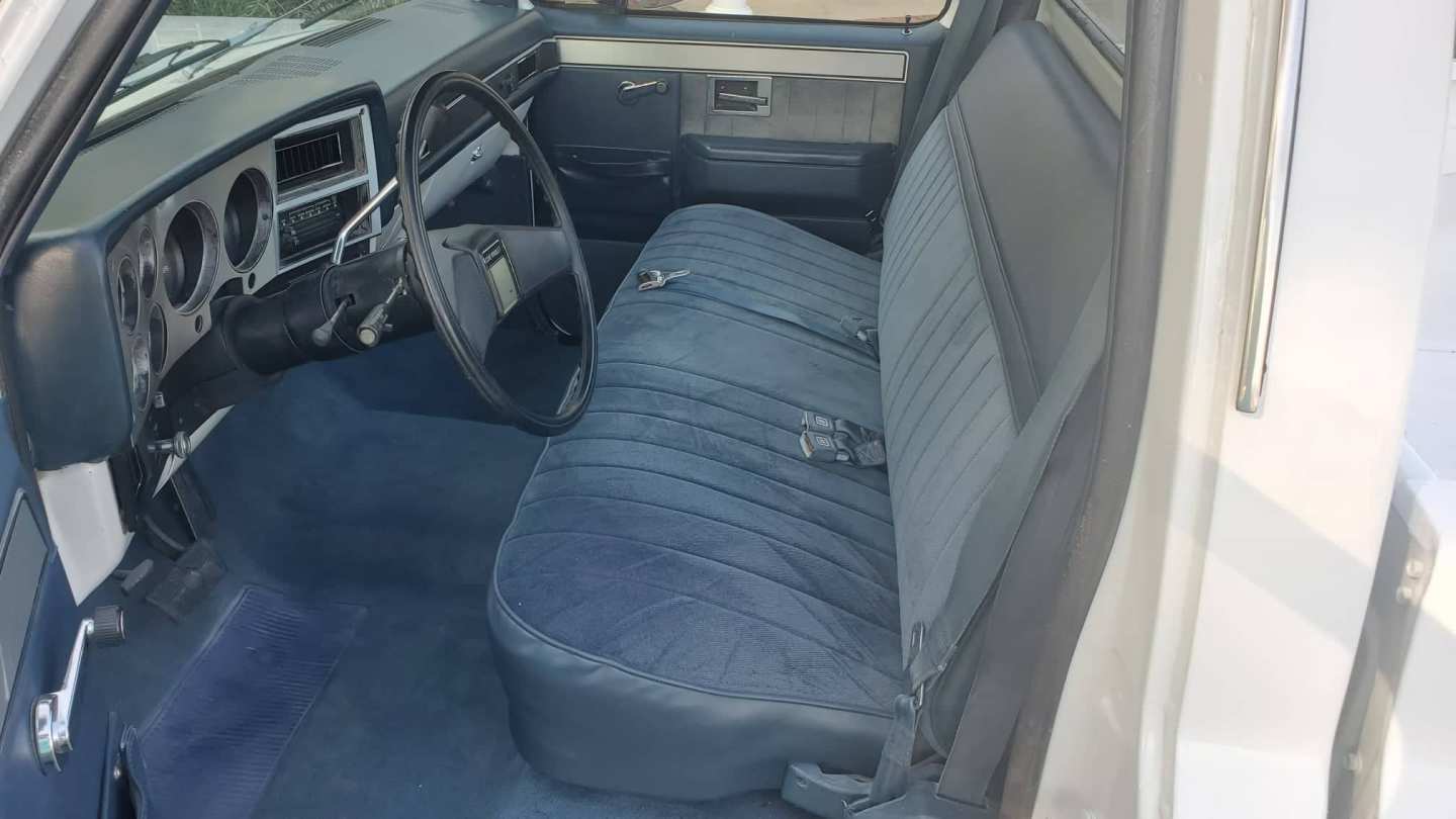 10th Image of a 1982 CHEVROLET C10