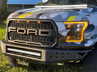 Image 13 of 32 of a 2016 FORD F-150