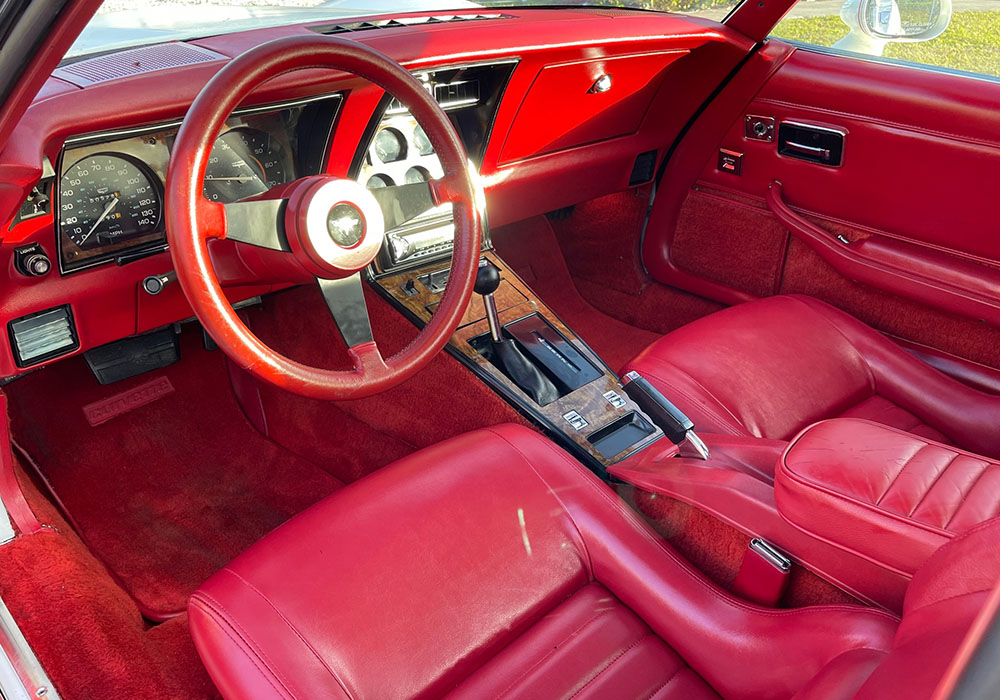 8th Image of a 1980 CHEVROLET CORVETTE