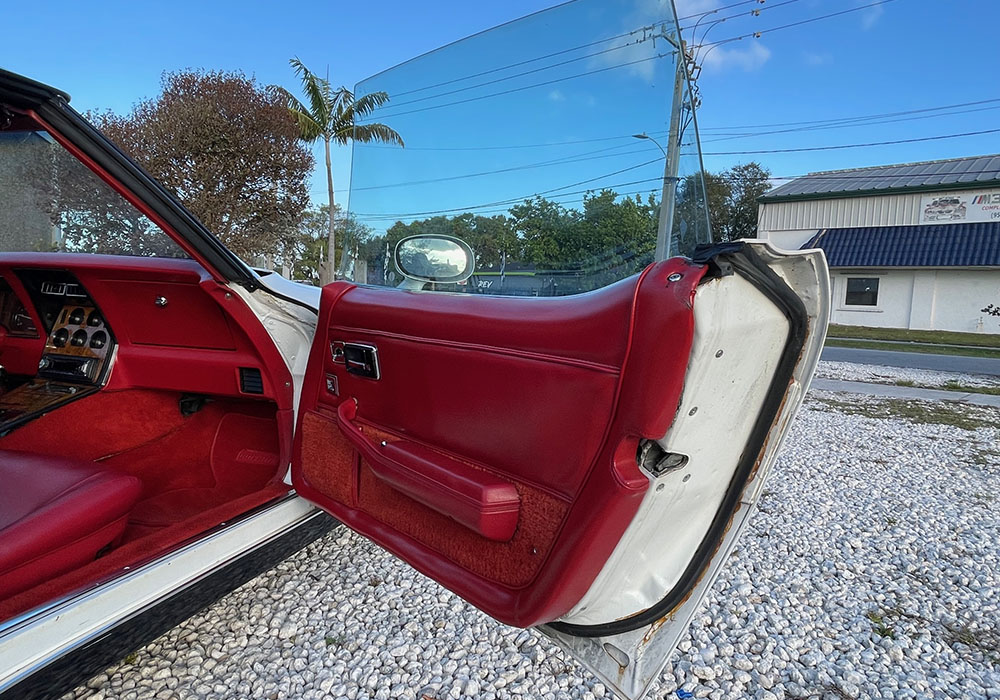 19th Image of a 1980 CHEVROLET CORVETTE