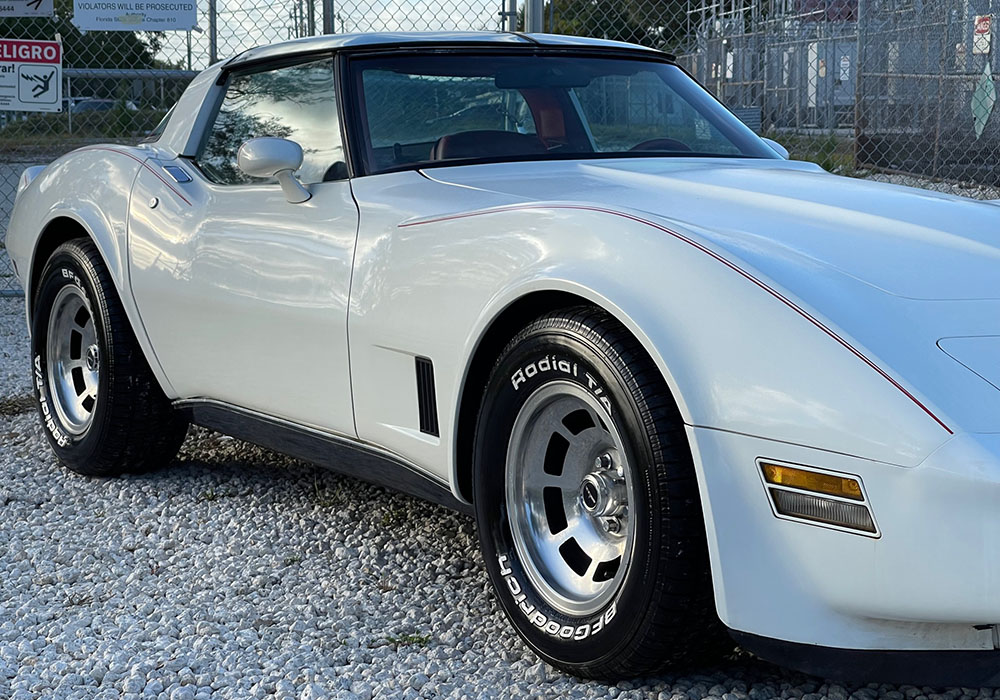 20th Image of a 1980 CHEVROLET CORVETTE