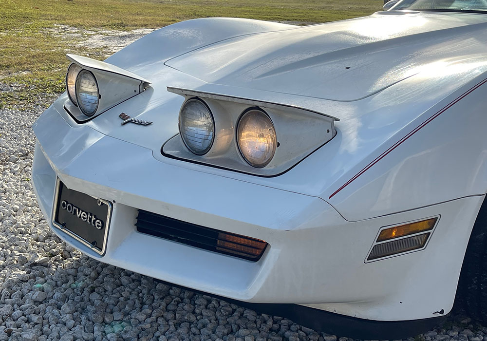 21st Image of a 1980 CHEVROLET CORVETTE