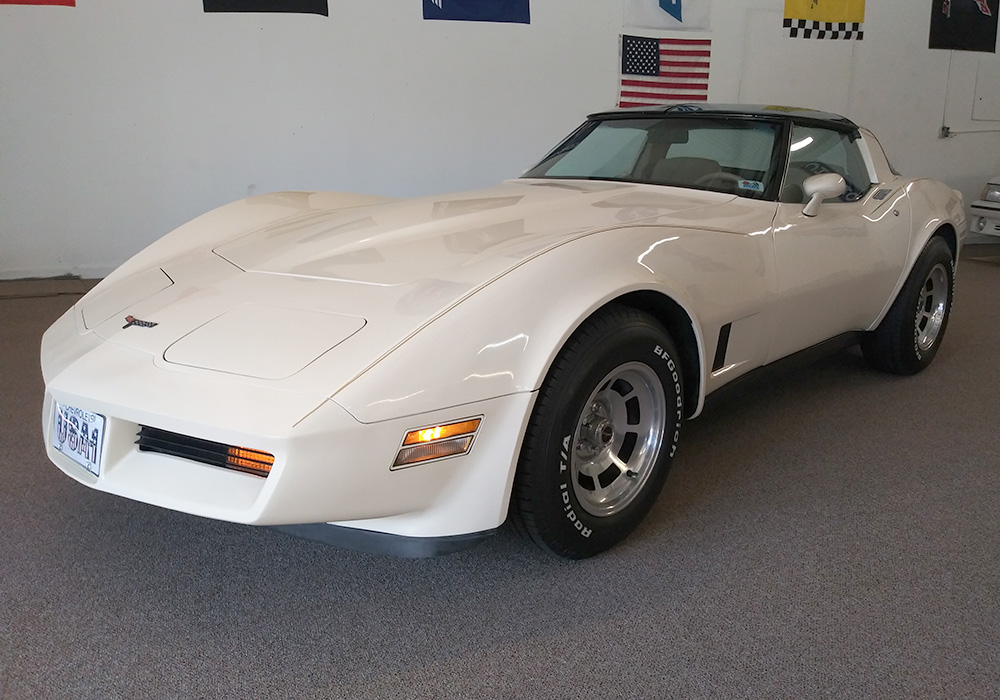 0th Image of a 1981 CHEVROLET CORVETTE