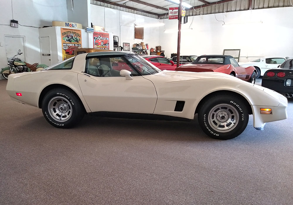 5th Image of a 1981 CHEVROLET CORVETTE