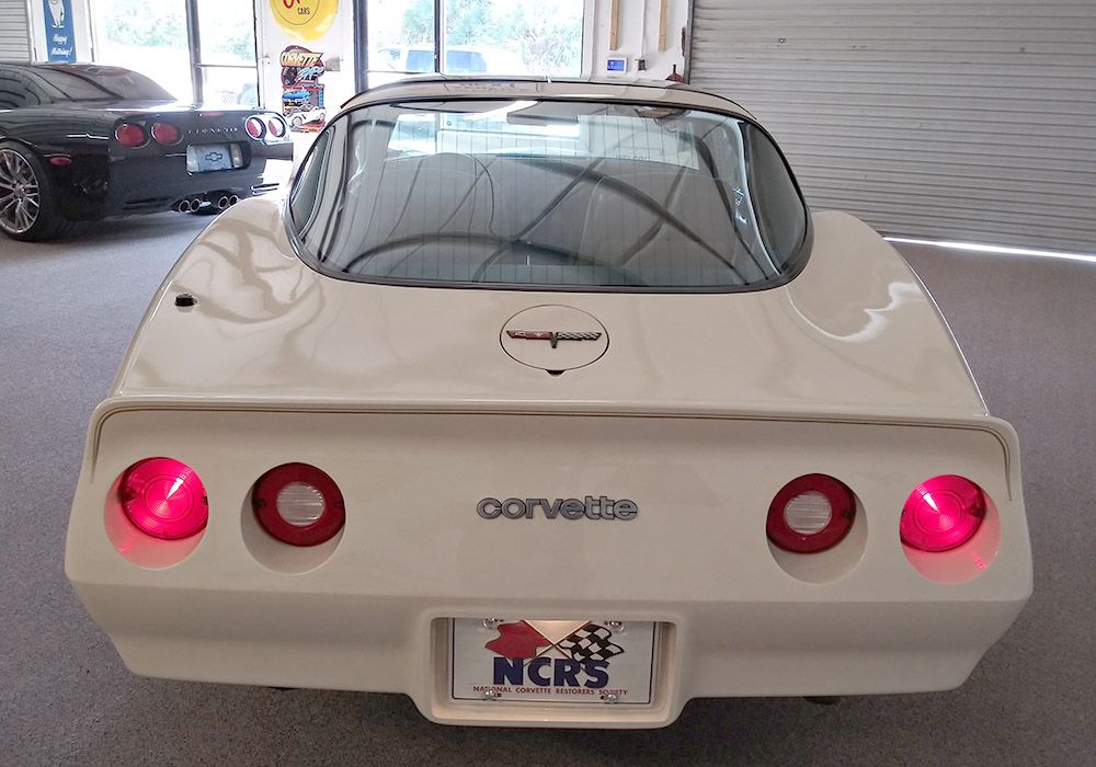 8th Image of a 1981 CHEVROLET CORVETTE