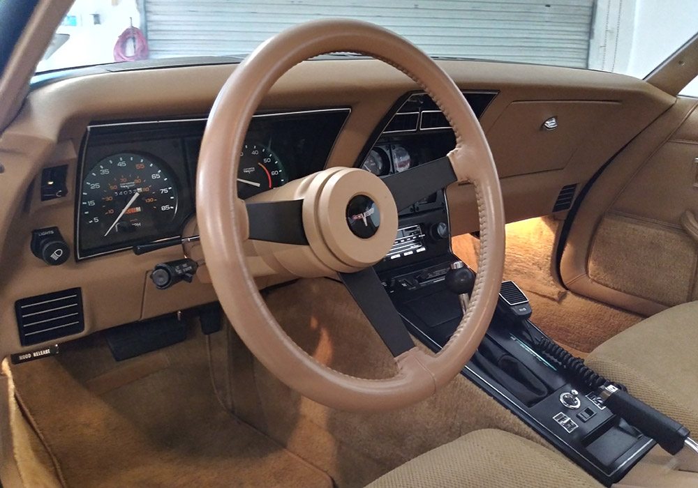 12th Image of a 1981 CHEVROLET CORVETTE