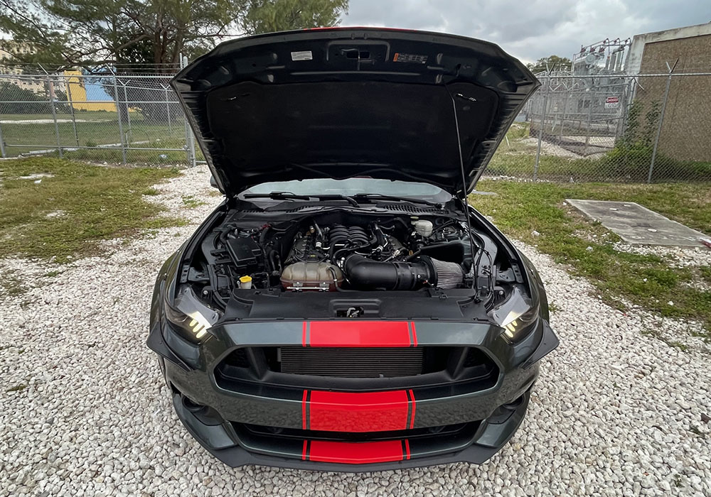 38th Image of a 2016 FORD MUSTANG GT