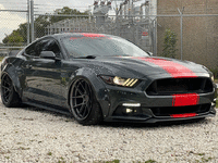 Image 1 of 40 of a 2016 FORD MUSTANG GT