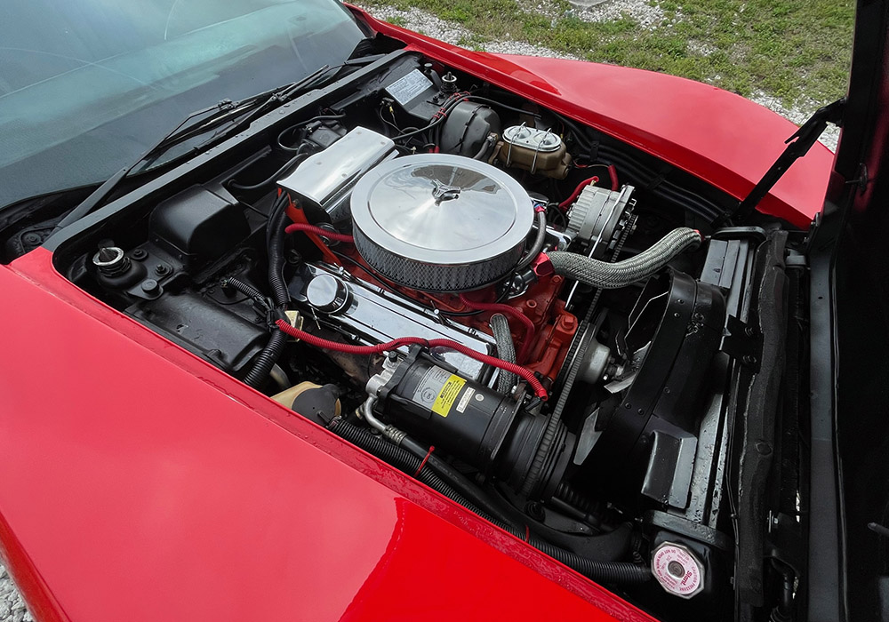 41st Image of a 1973 CHEVROLET CORVETTE