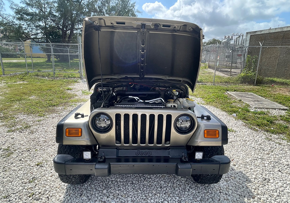 25th Image of a 2004 JEEP WRANGLER