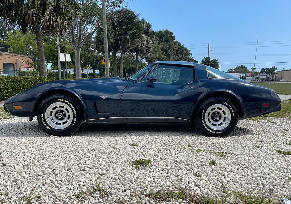 6th Image of a 1979 CHEVROLET CORVETTE