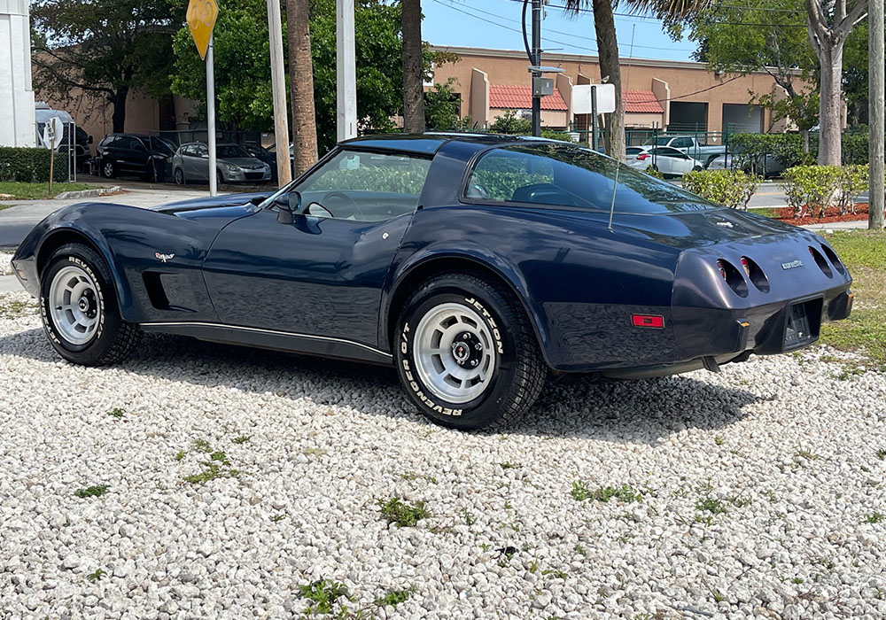 7th Image of a 1979 CHEVROLET CORVETTE