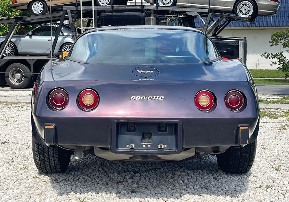 8th Image of a 1979 CHEVROLET CORVETTE