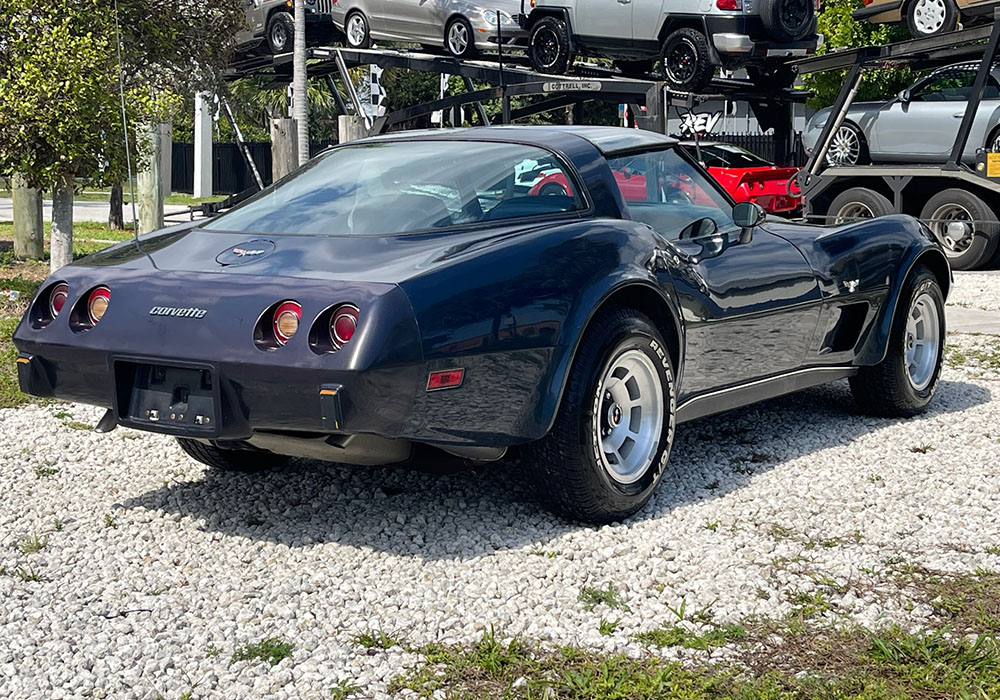 9th Image of a 1979 CHEVROLET CORVETTE