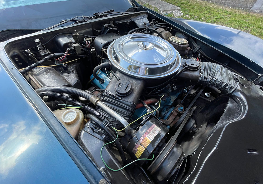 25th Image of a 1979 CHEVROLET CORVETTE