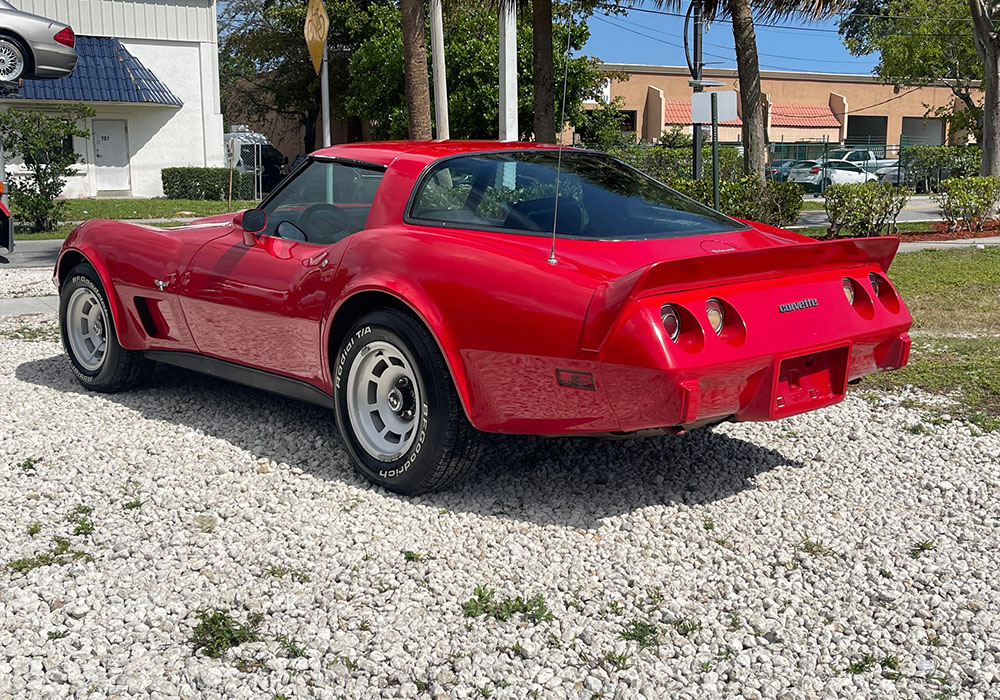 6th Image of a 1979 CHEVROLET CORVETTE