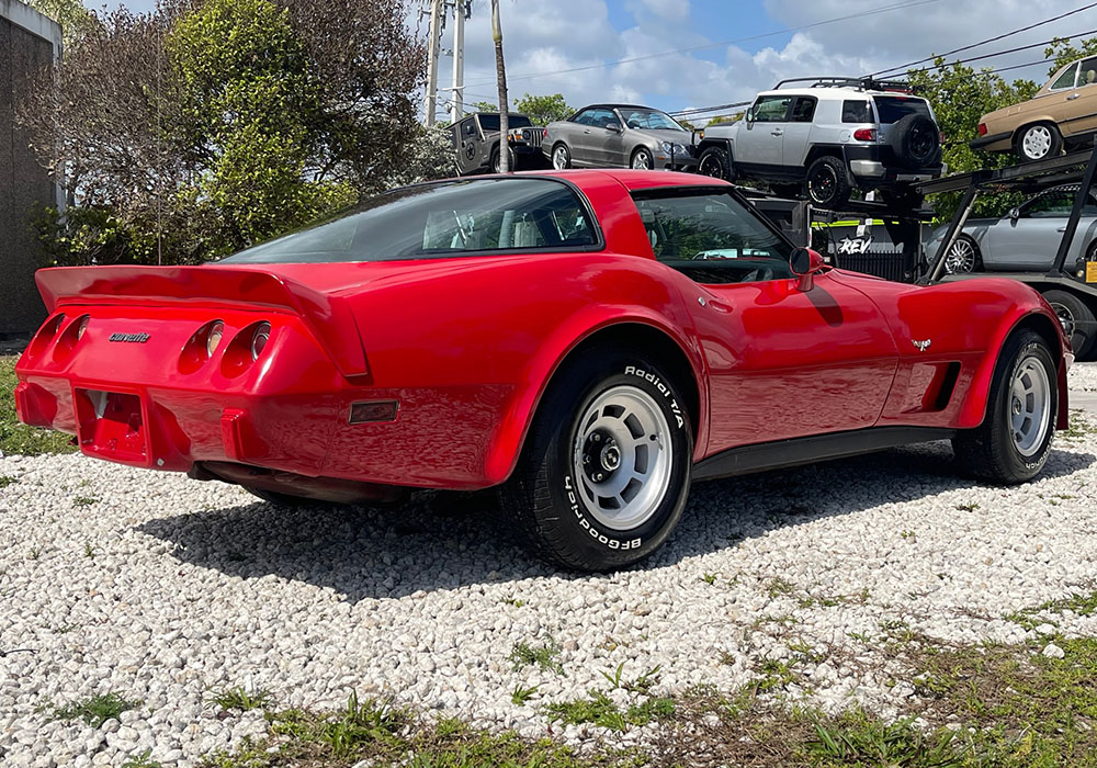 9th Image of a 1979 CHEVROLET CORVETTE