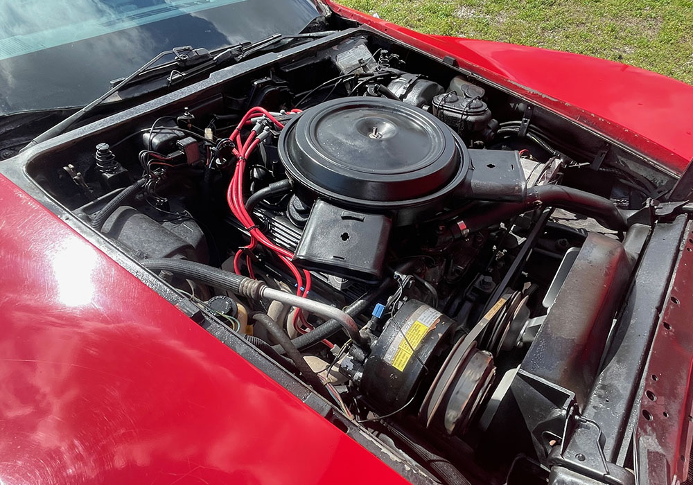 20th Image of a 1979 CHEVROLET CORVETTE