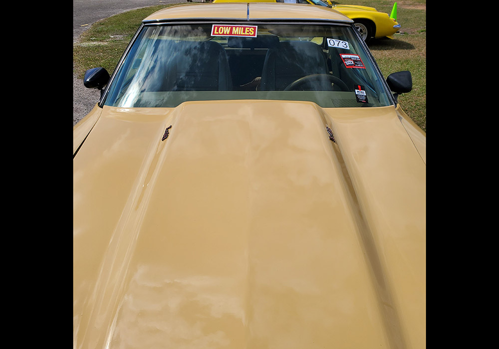 12th Image of a 1977 CHEVROLET CORVETTE