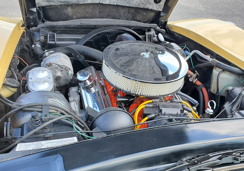 15th Image of a 1977 CHEVROLET CORVETTE