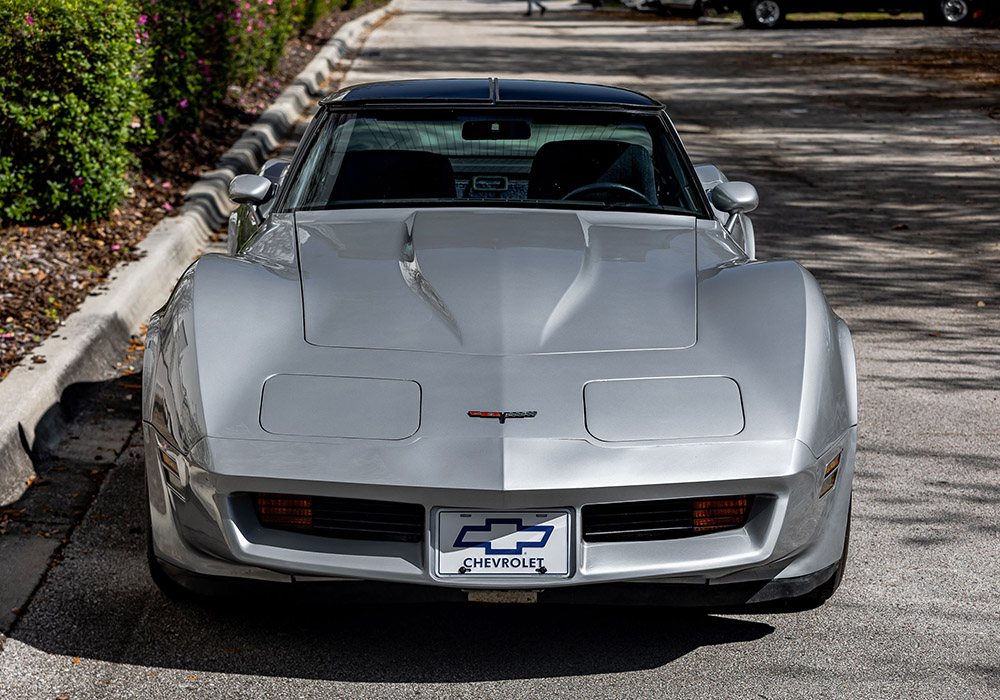 5th Image of a 1981 CHEVROLET CORVETTE