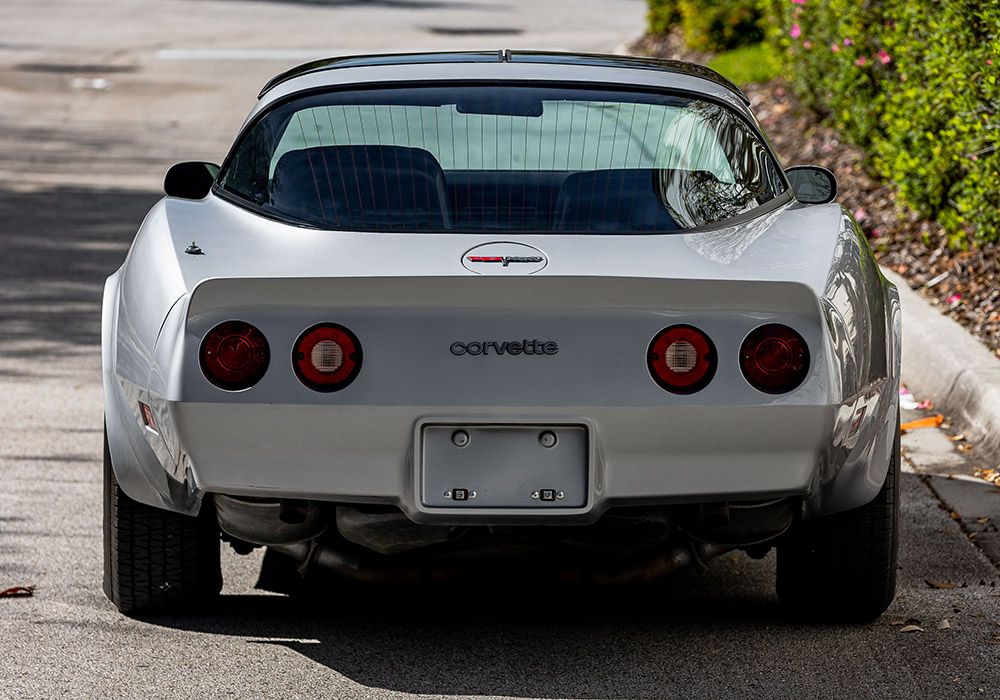 6th Image of a 1981 CHEVROLET CORVETTE