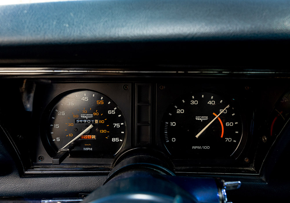 13th Image of a 1981 CHEVROLET CORVETTE