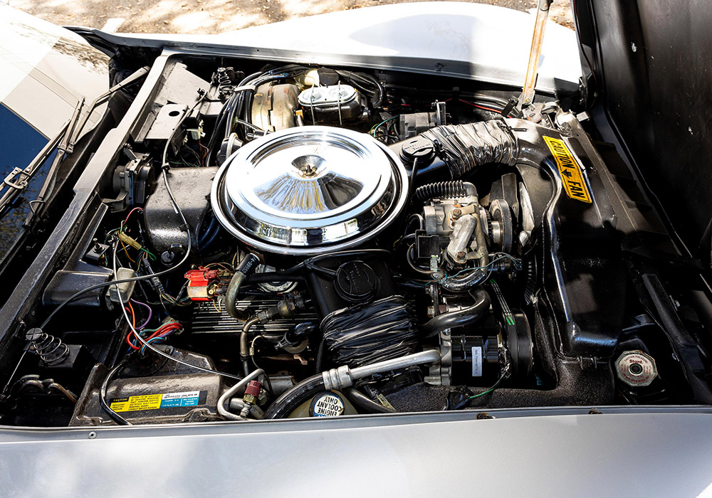 18th Image of a 1981 CHEVROLET CORVETTE