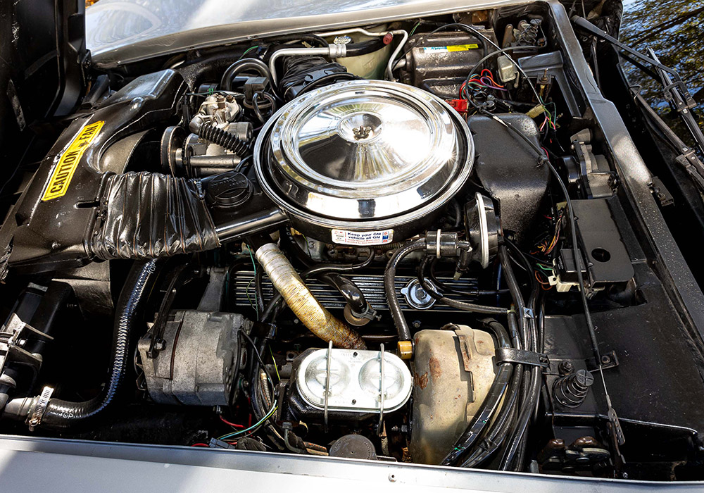 19th Image of a 1981 CHEVROLET CORVETTE