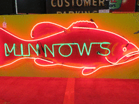Image 2 of 2 of a N/A MINNOWS NEON SIGN