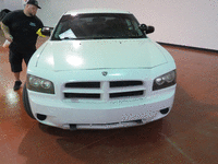 Image 1 of 6 of a 2010 DODGE CHARGER POLICE