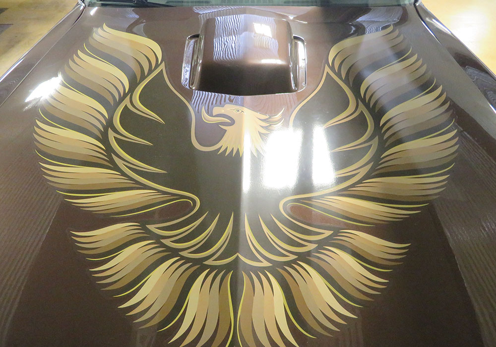 8th Image of a 1979 PONTIAC TRANS AM