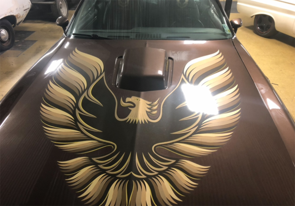 10th Image of a 1979 PONTIAC TRANS AM