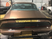 Image 5 of 23 of a 1979 PONTIAC TRANS AM