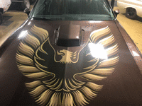 Image 11 of 23 of a 1979 PONTIAC TRANS AM