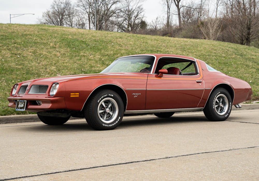 0th Image of a 1976 PONTIAC FIREBIRD ESPRIT