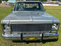 Image 7 of 11 of a 1979 CHEVROLET C-10