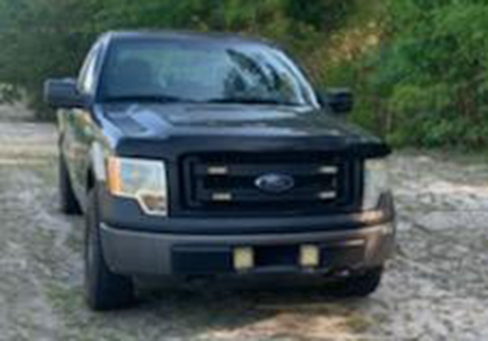 2nd Image of a 2014 FORD F-150 XL