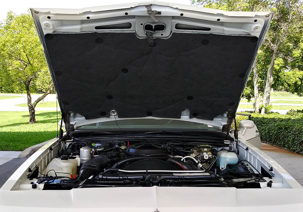 32nd Image of a 1986 CHEVROLET CAMARO