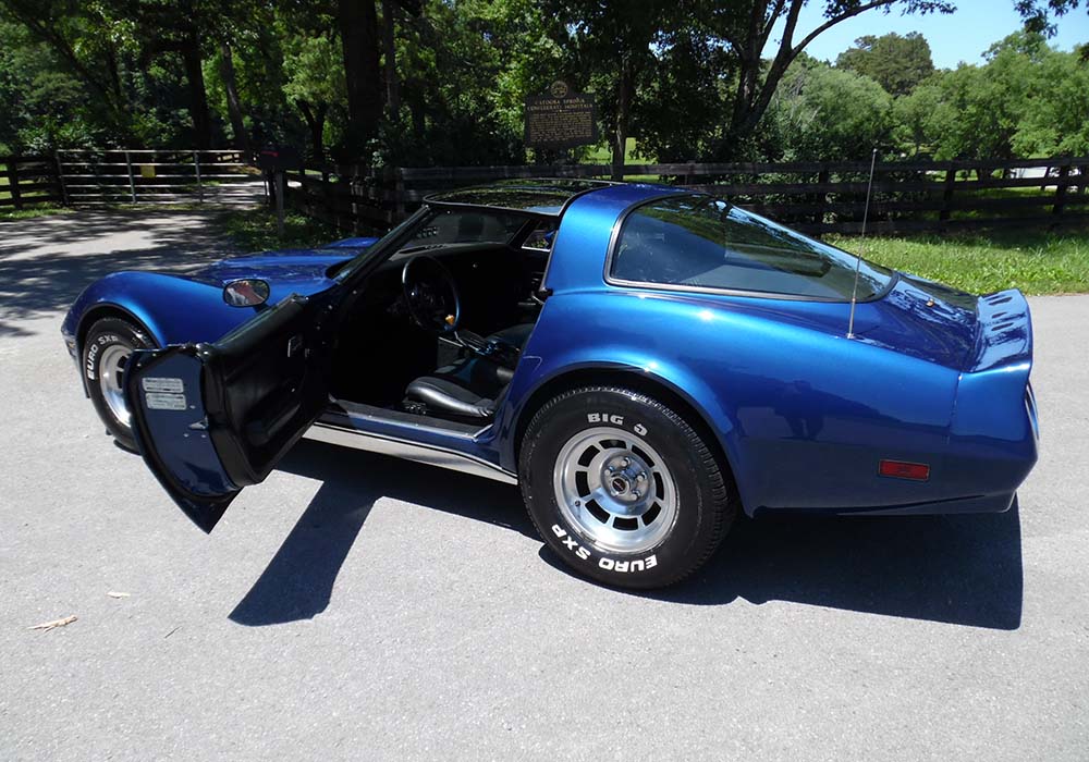 5th Image of a 1981 CHEVROLET CORVETTE