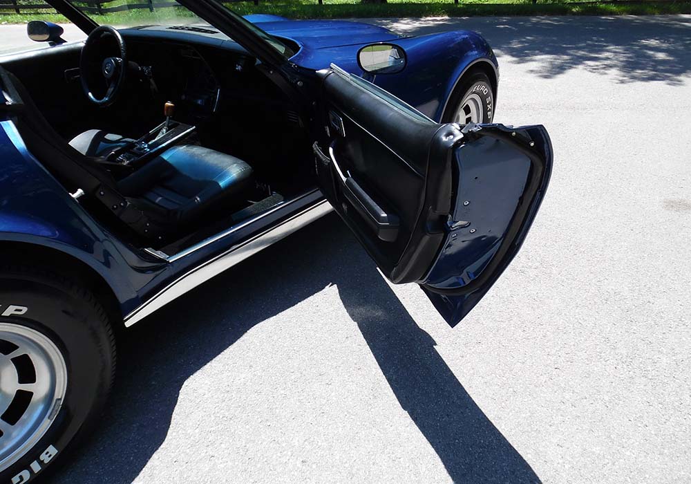 6th Image of a 1981 CHEVROLET CORVETTE