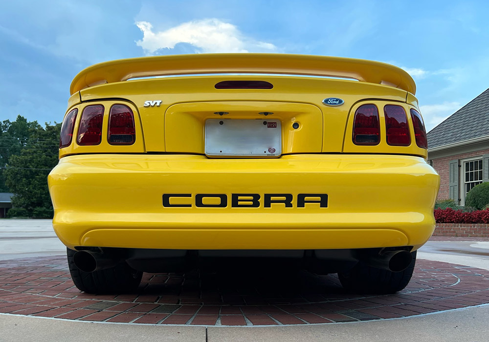 10th Image of a 1998 FORD MUSTANG COBRA