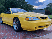 Image 3 of 22 of a 1998 FORD MUSTANG COBRA