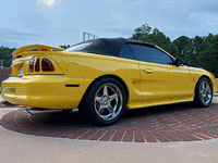 Image 5 of 22 of a 1998 FORD MUSTANG COBRA
