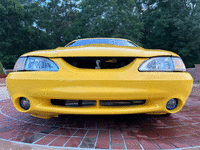 Image 8 of 22 of a 1998 FORD MUSTANG COBRA