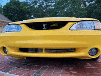 Image 9 of 22 of a 1998 FORD MUSTANG COBRA