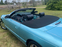 Image 7 of 11 of a 2002 FORD THUNDERBIRD