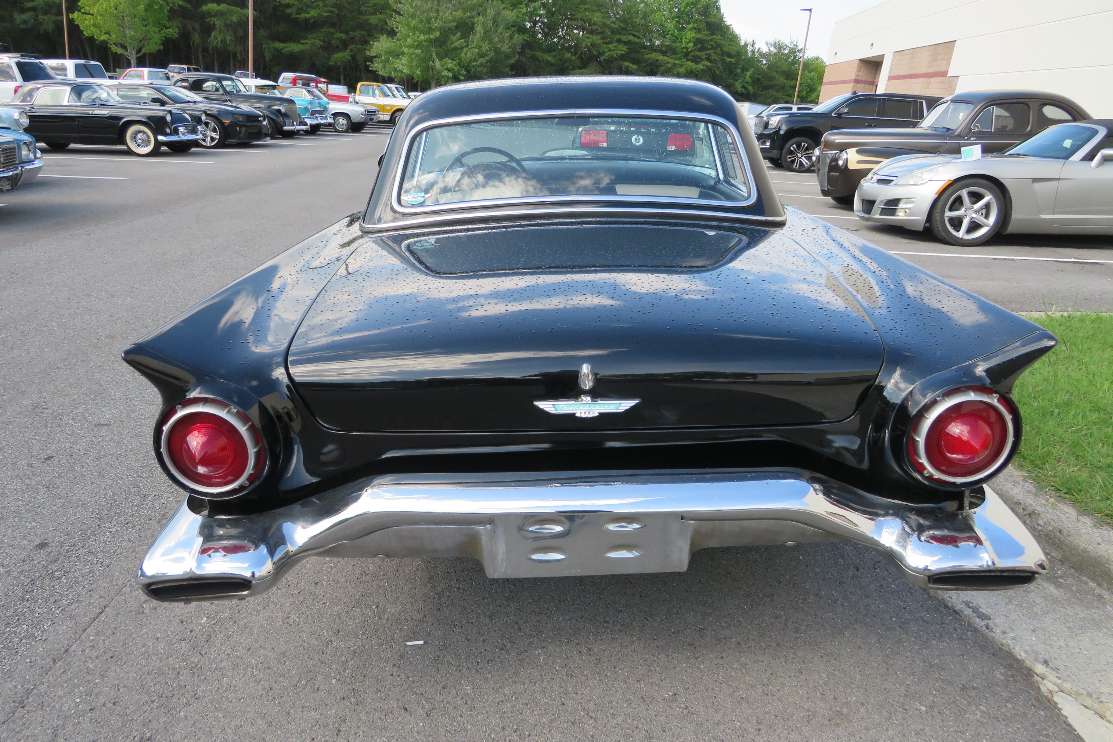 12th Image of a 1957 FORD THUNDERBIRD