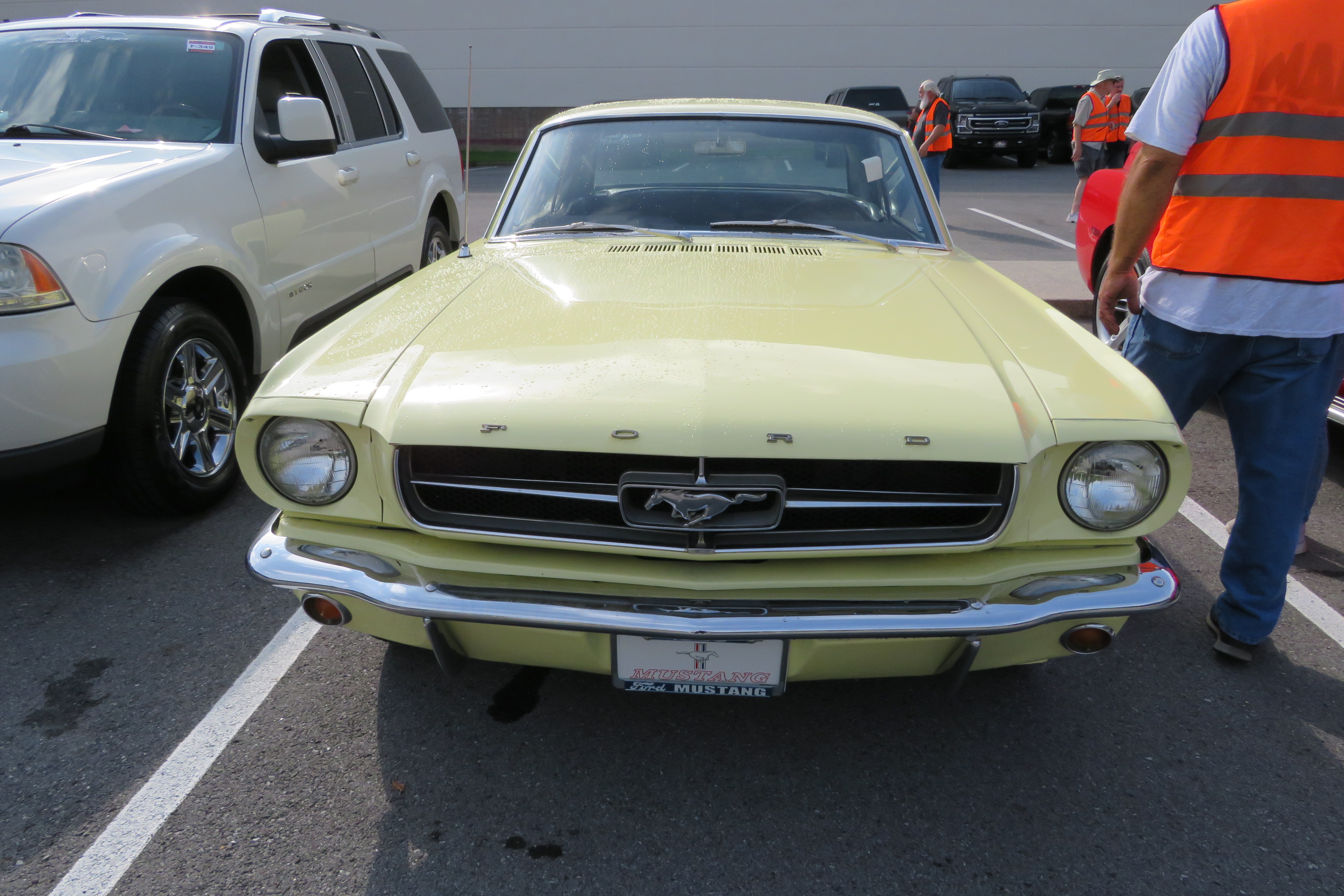 0th Image of a 1965 FORD MUSTANG