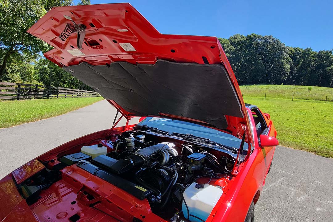 17th Image of a 1987 PONTIAC TRANS AM